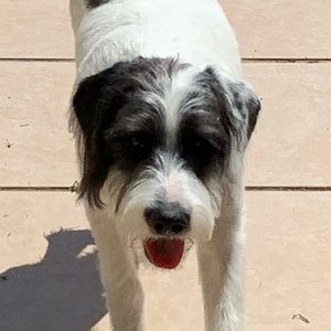 Meet your Posher, Crystal